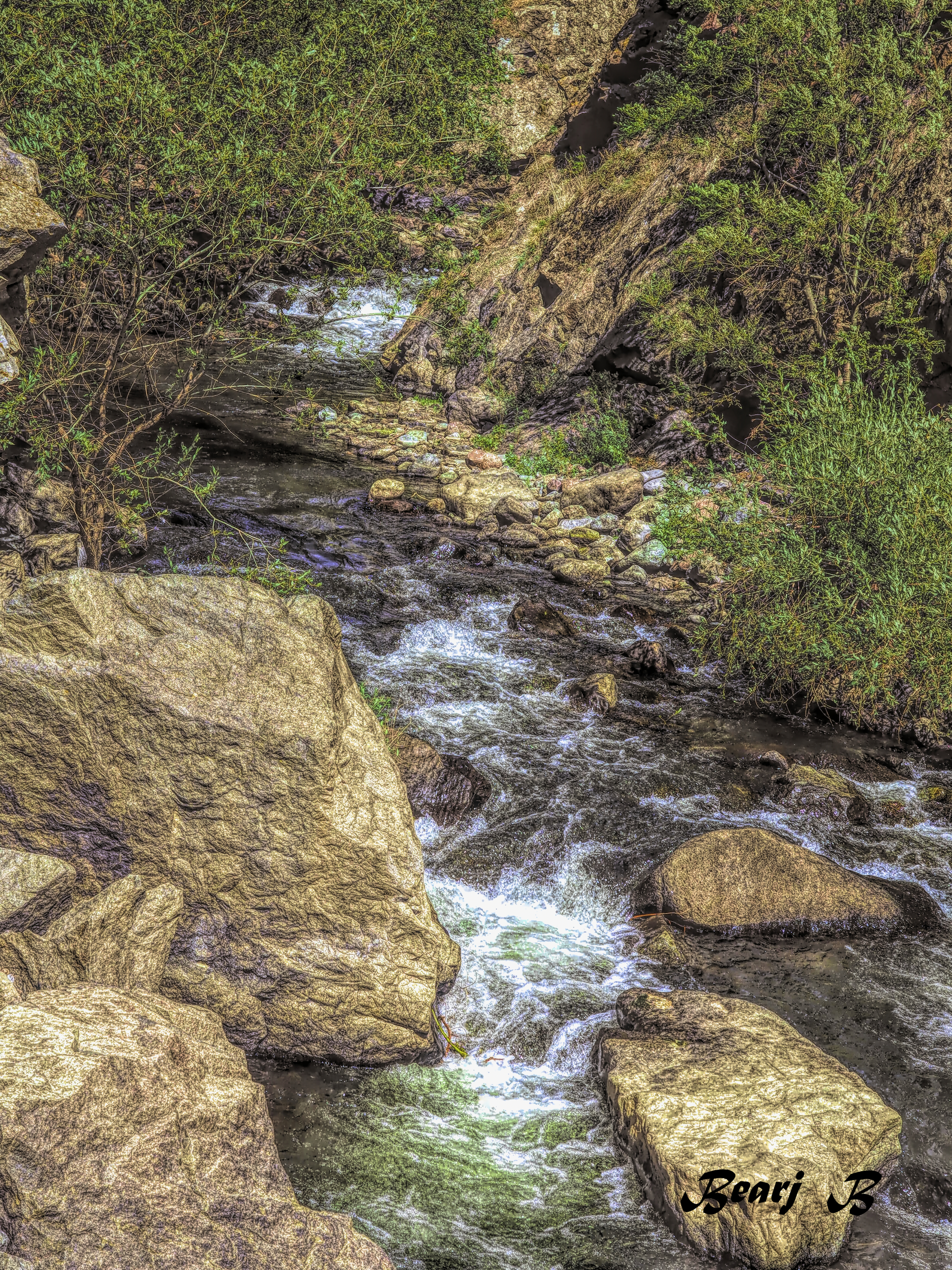 The Stream